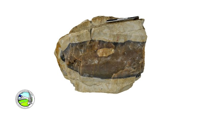 Allochemical-rocks 3D models - Sketchfab
