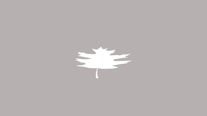 LEAF_MODEL 3D Model