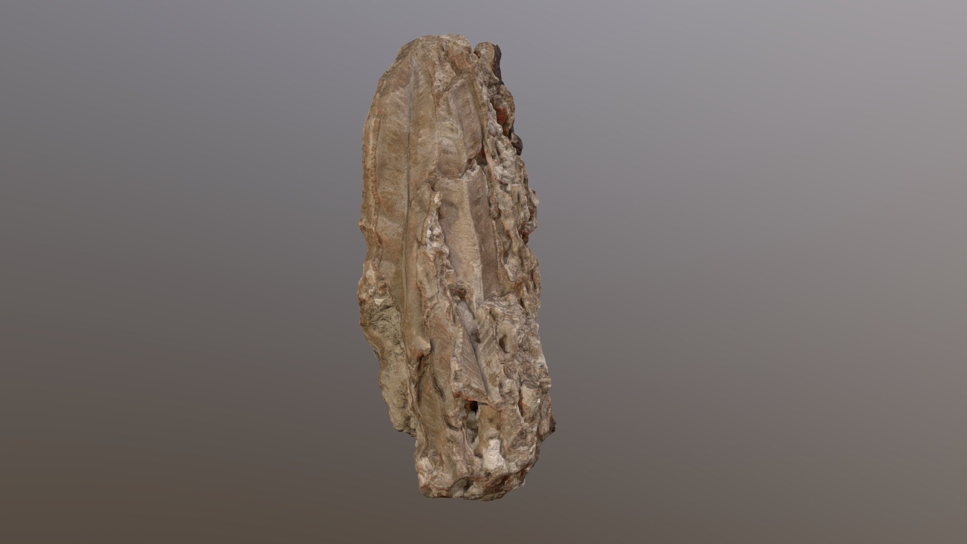 Fossile de fougère - 3D model by Nicolas (@nicolas-lissarrague ...