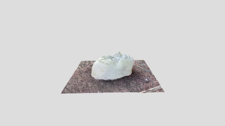 Lifecast 3D Model
