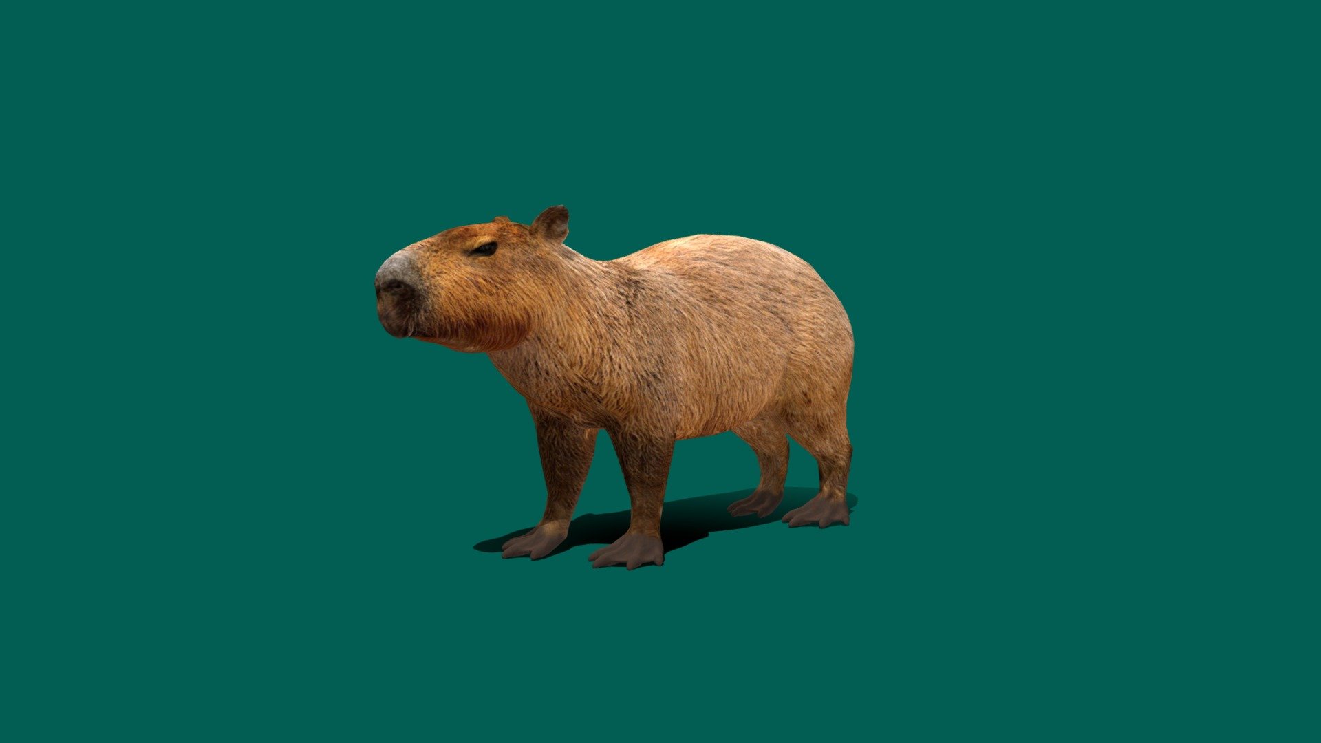 Capivara Clicker 2 · Jogar Online Grátis