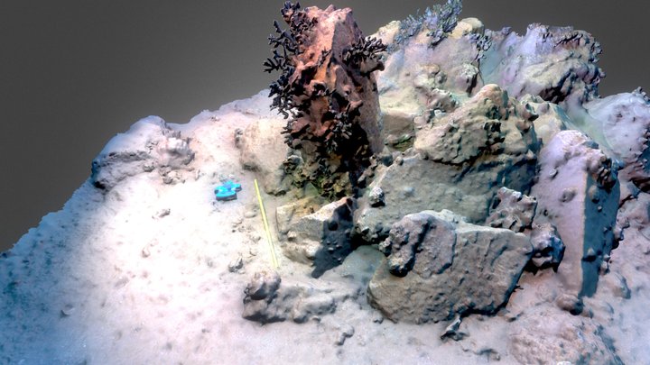 StandingStone_IntercourseIslandPG_V1_1_3m 3D Model