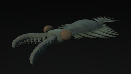 Anmalocaridae 3D Model
