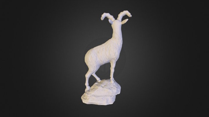 Mauntain Goat 3D Model