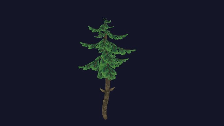 Pine Tree 3D Model