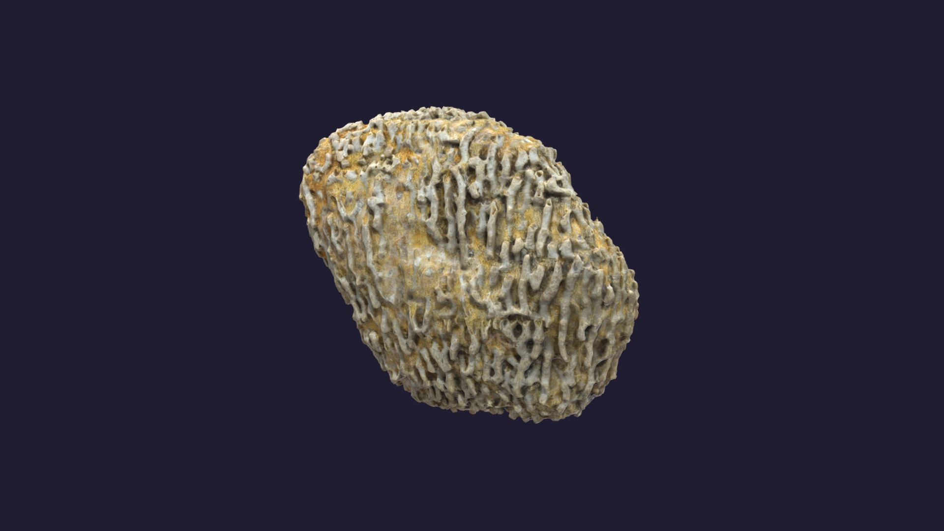 3D model Syringopora sp. - This is a 3D model of the Syringopora sp.. The 3D model is about a close-up of a rock.