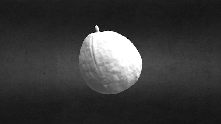 025/365 Guava 3D Model