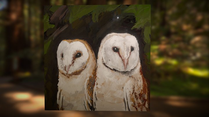 Barn Owls - Falconry 3D Model