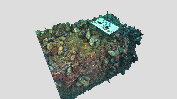 Relitto del Paguro - Struttura 3D Model