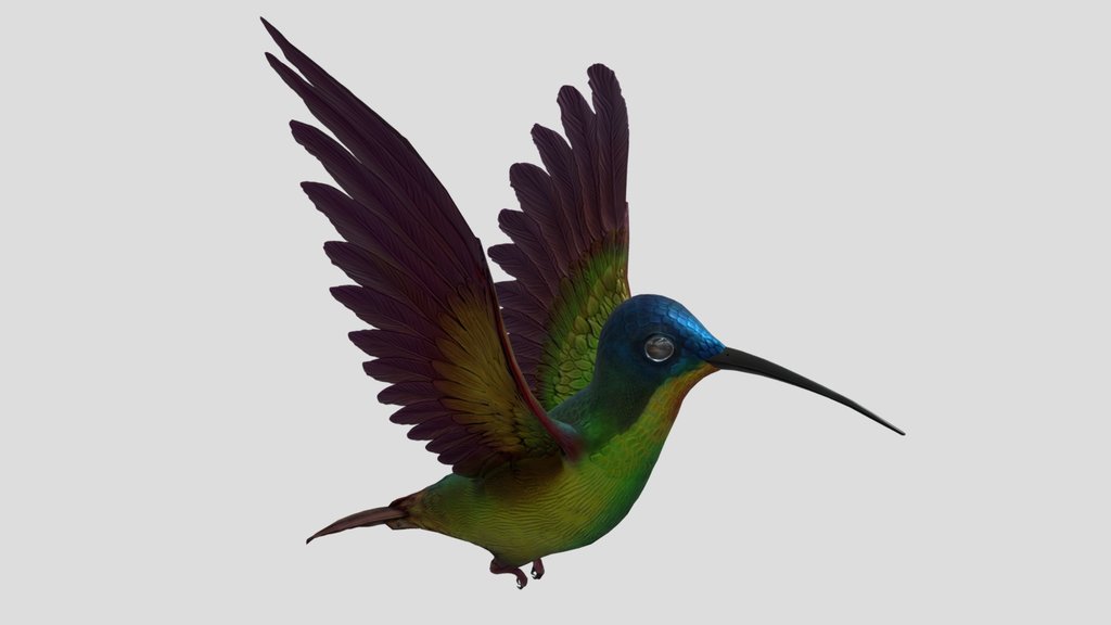 Hummingbird