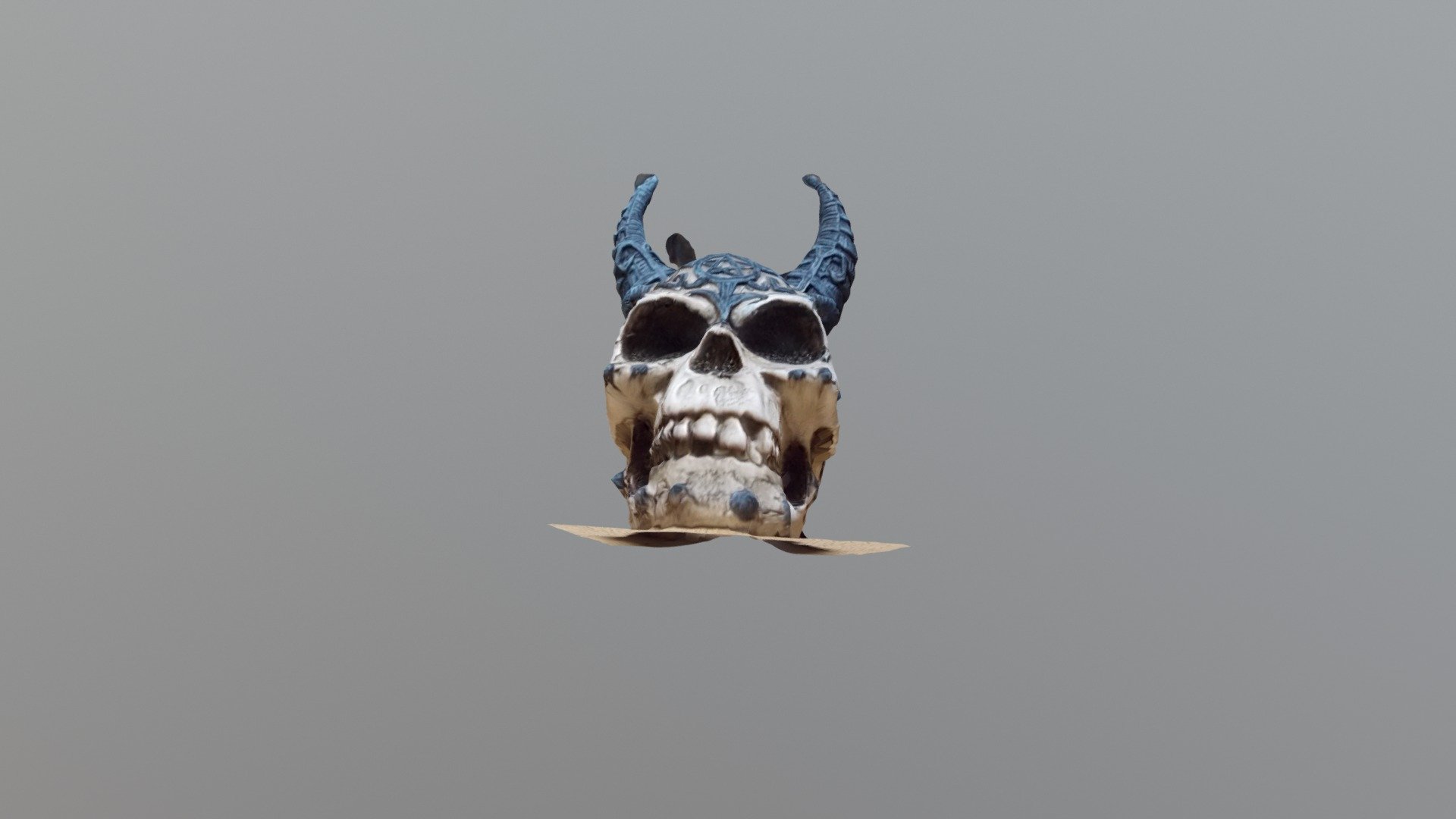 Skull Photogrammetry Zephyr