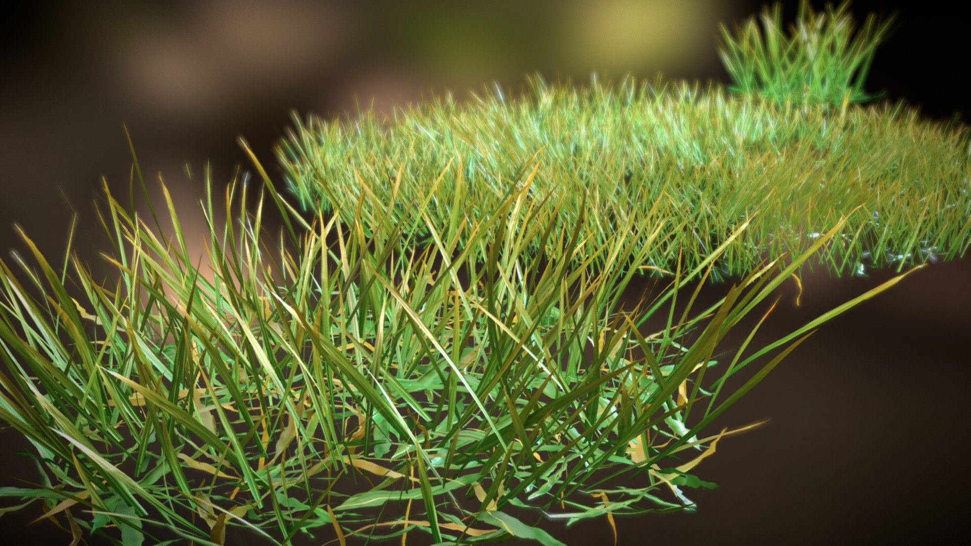 Grass Patches - Circle — Sketchfab embed 3D viewer