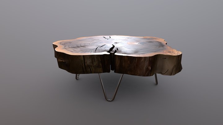 Wood slab coffee table 3D Model