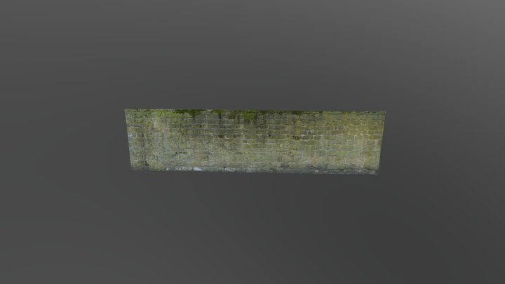 Hardwick_Wall Photoscan 3D Model