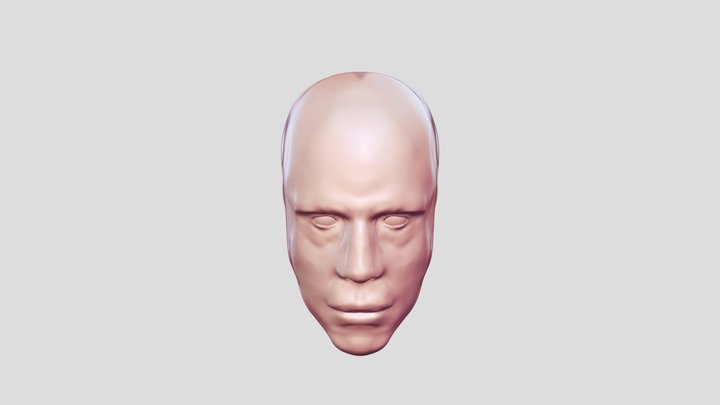 Face anatomy study & practice no. 4 3D Model