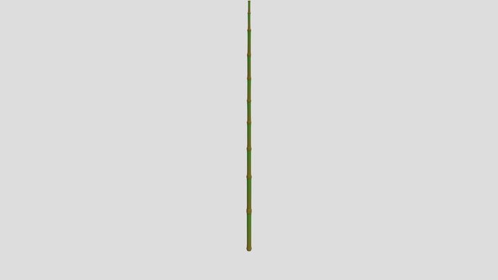 Cane Fishing Pole