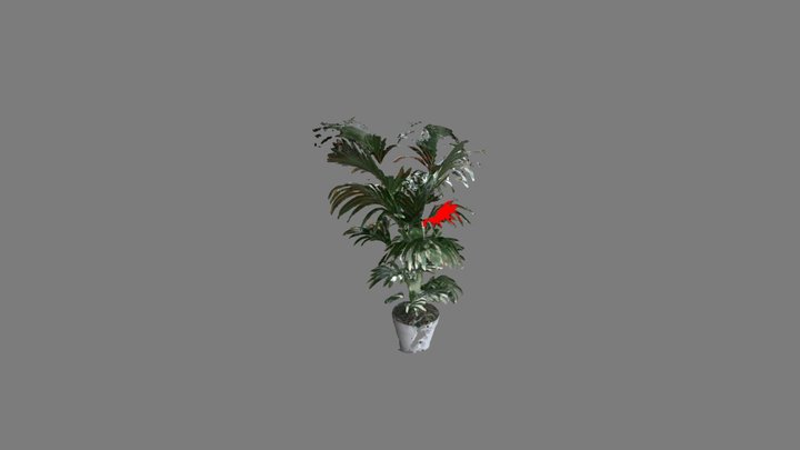 Plant3 3D Model