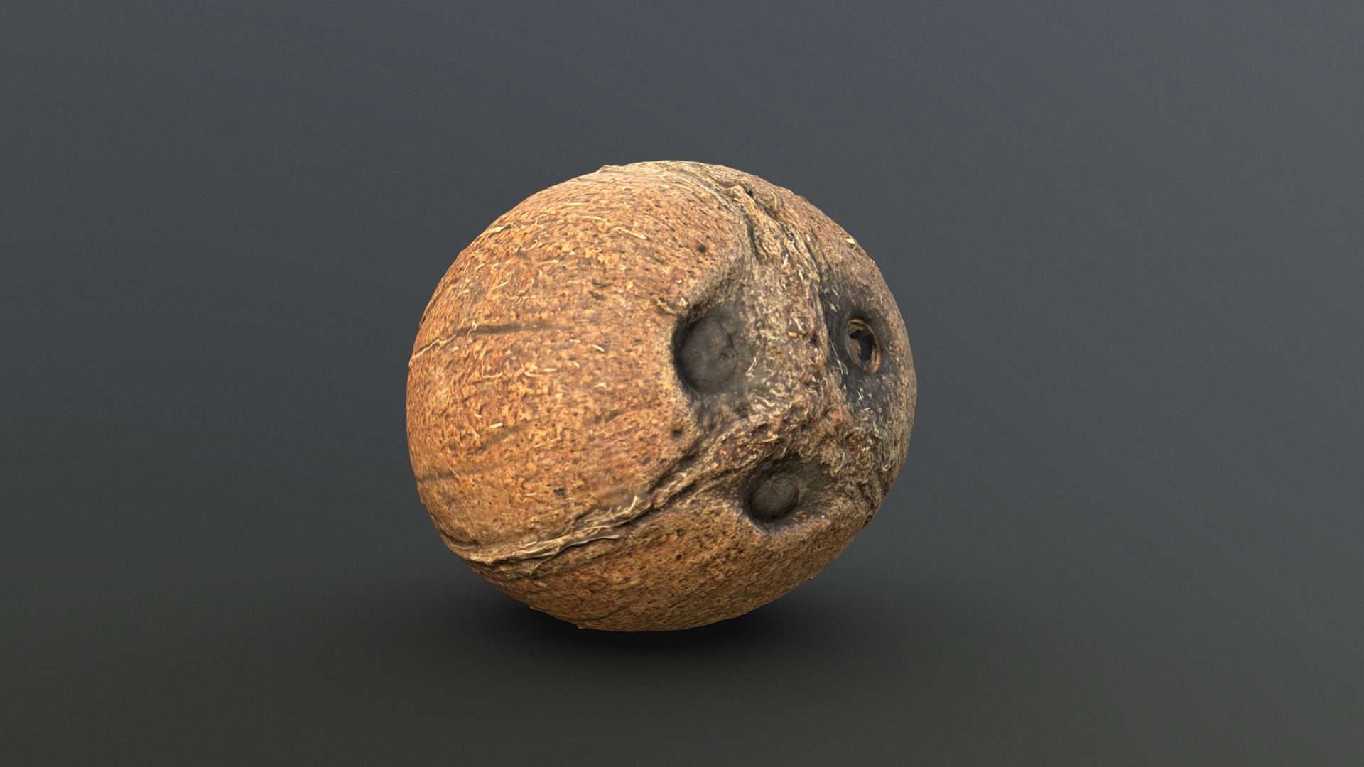 3D model Coconut – retopo 8K PBR - This is a 3D model of the Coconut - retopo 8K PBR. The 3D model is about a close up of a potato.