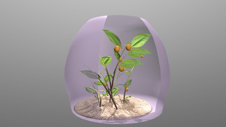 OrganOrange Phase 3: Growth 3D Model