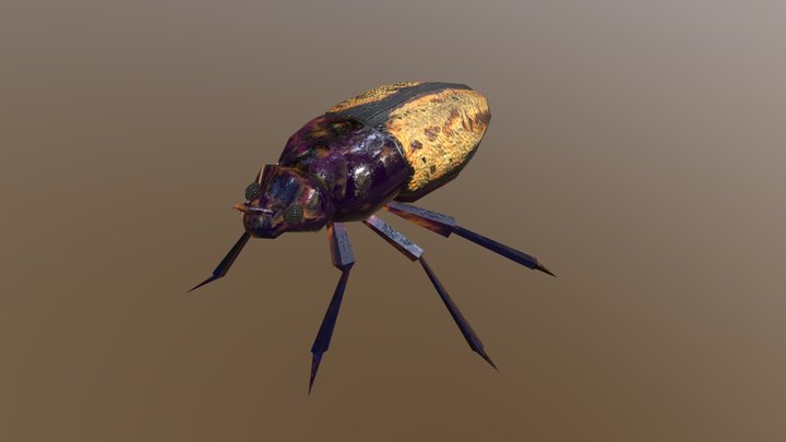 Yellow Horned Beetle 3D Model
