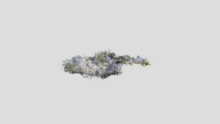 龍泉寺（重要文化財　龍泉寺仁王門・名勝　龍泉寺庭園） 3D Model