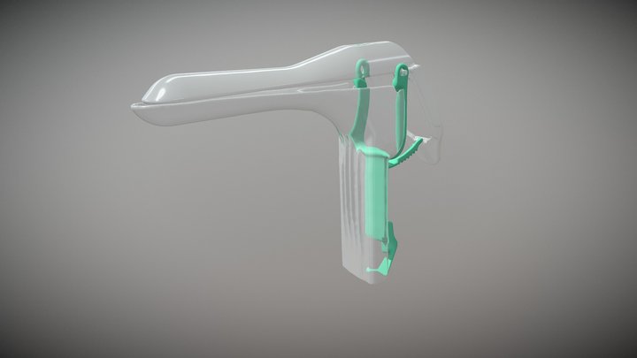 Parts of the Speculum 3D Model