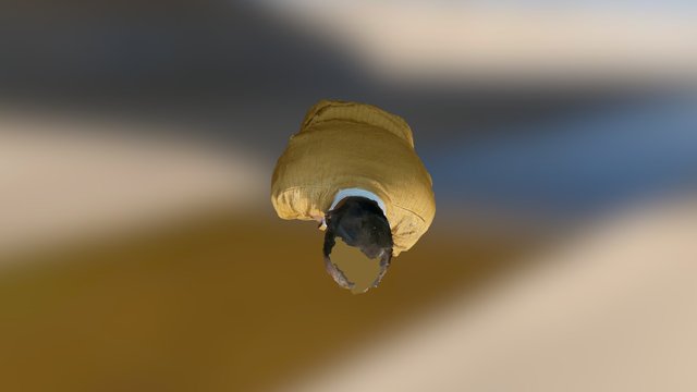 3DOME result 2 3D Model
