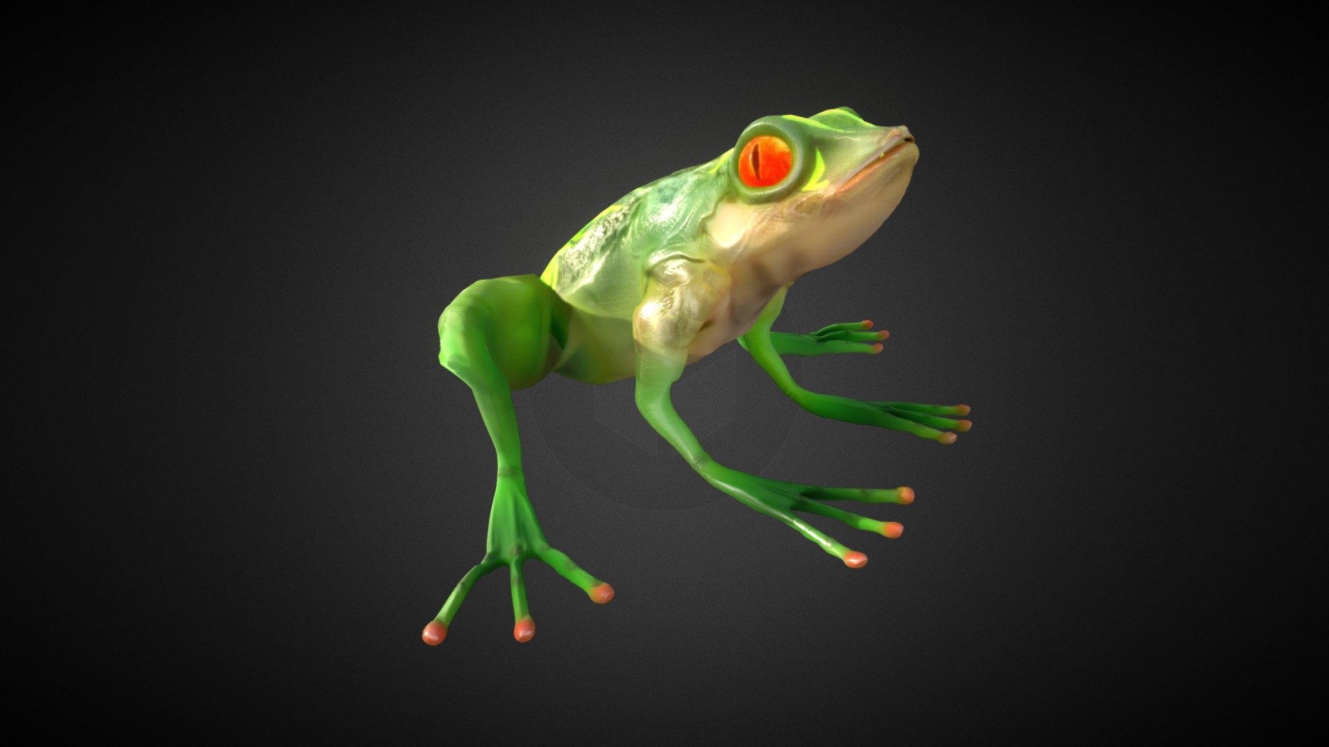 Froggy