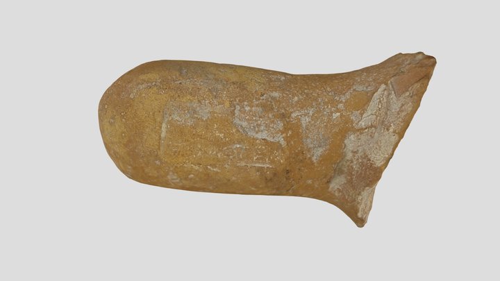 Amphora Handle (C1965.38.128) 3D Model