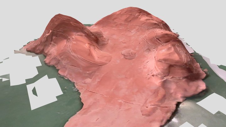 pica-maderos-negros (GRUPO E) 3D Model