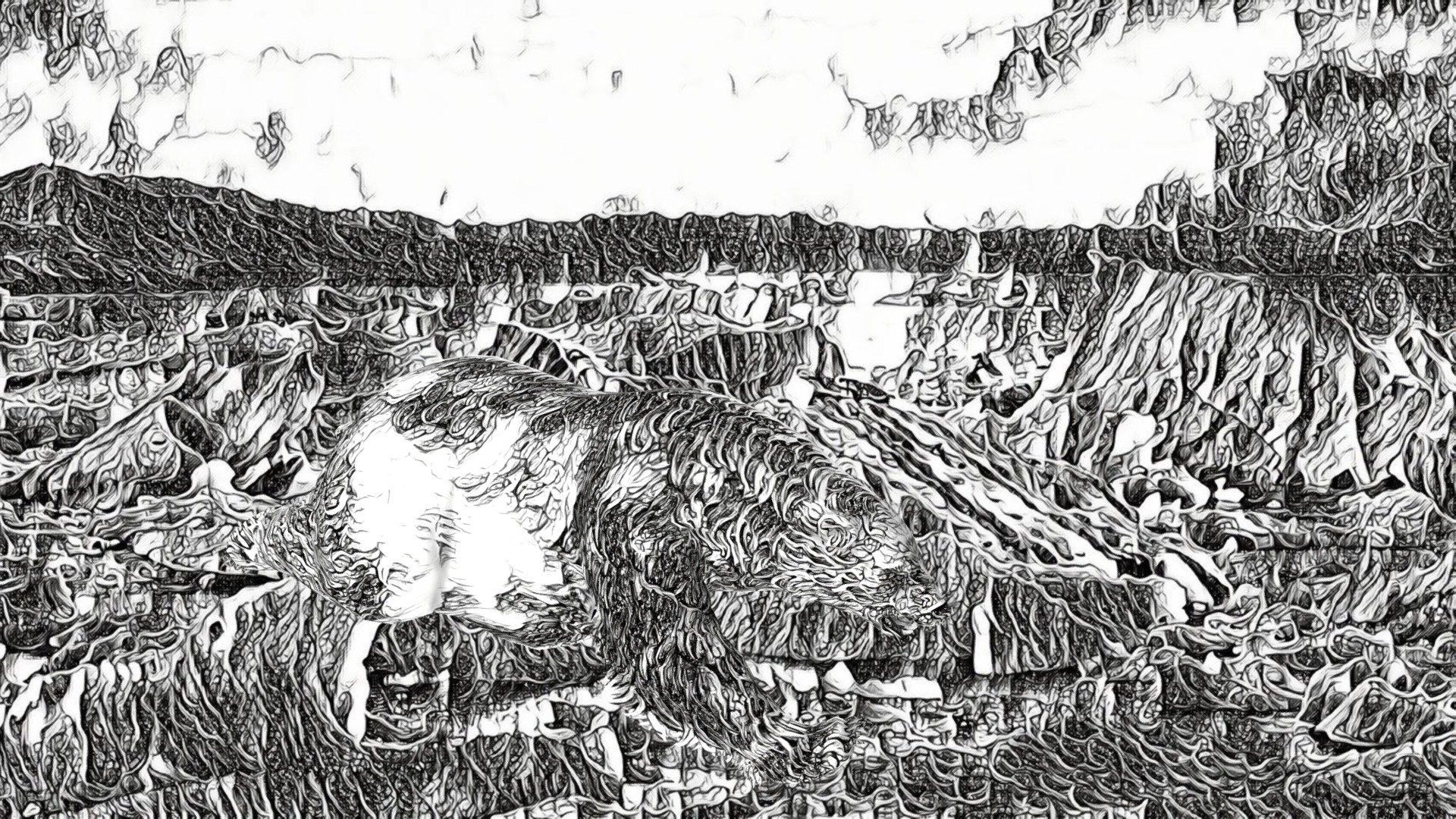 The disappearing Polar Bear