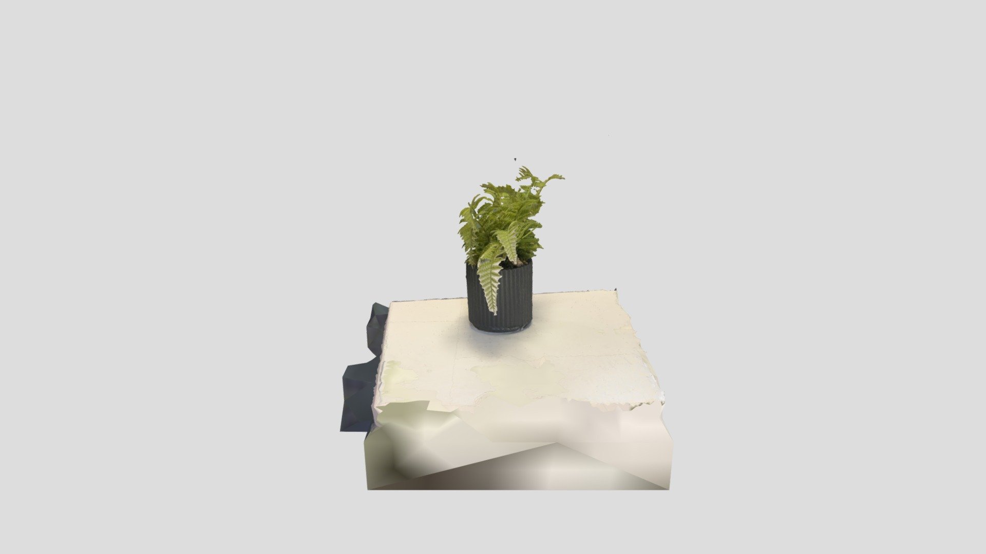 Test scan - Download Free 3D model by Jennifleurx [664c1fa] - Sketchfab