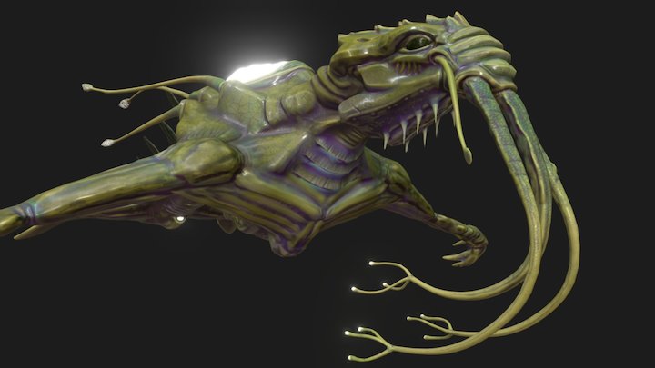 Sea Creature 3D Model