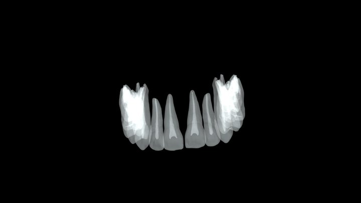 Beginner Series 3D Model