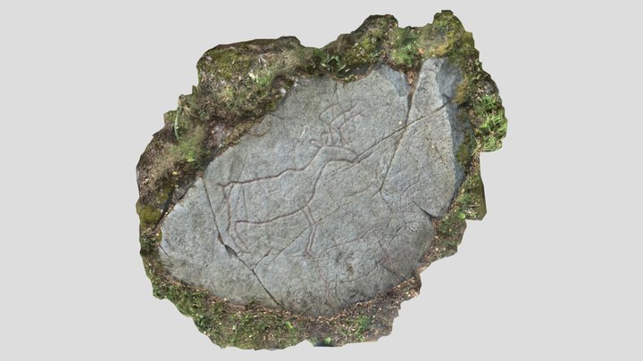 Rock art, Trondheim, Norway 3D Model