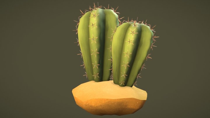 Cactus 3D Model
