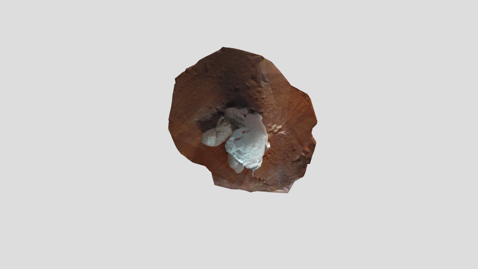 Peluche Completo en 3D