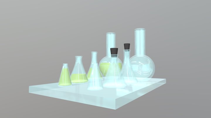 Flask Set 3D Model