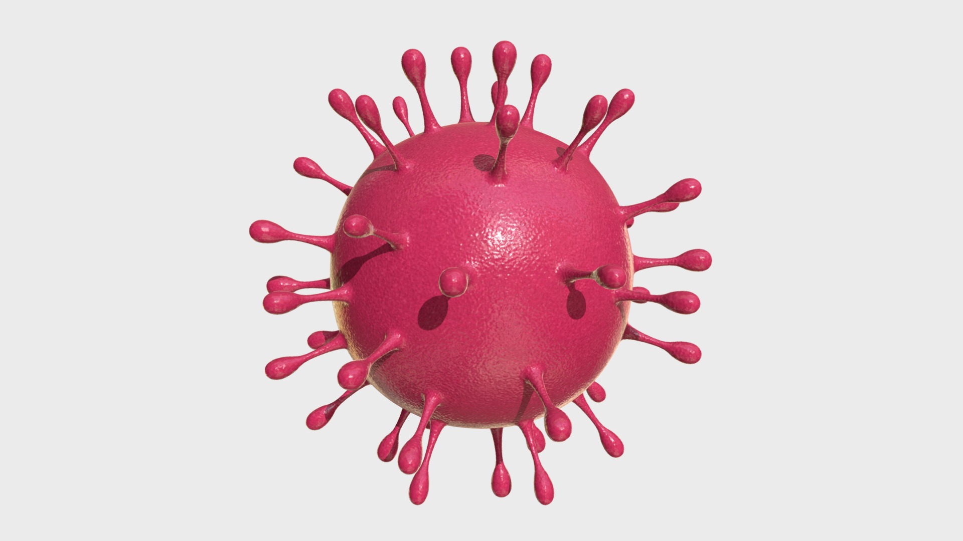 3D model Coronavirus