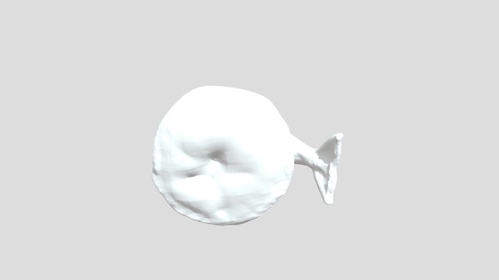 3DModel_ LowPoly_KIRI 3D Model
