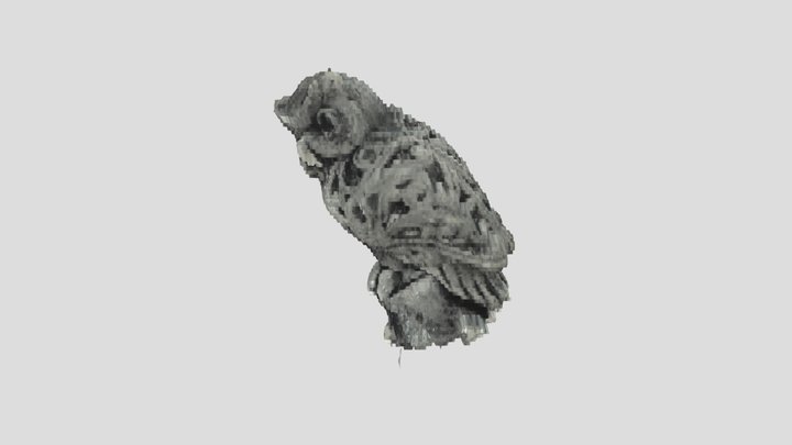 Сова 3D Model