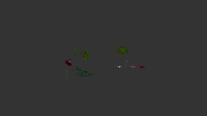Plants 3D Model