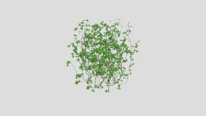 园林装饰藤蔓 园林藤蔓-fbx 爱给网 Aigei Com 3D Model