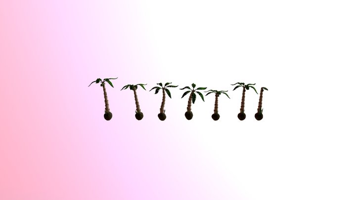 Palm Trees test 3D Model