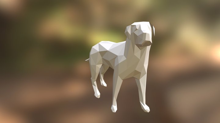 Dog B49 3D Model