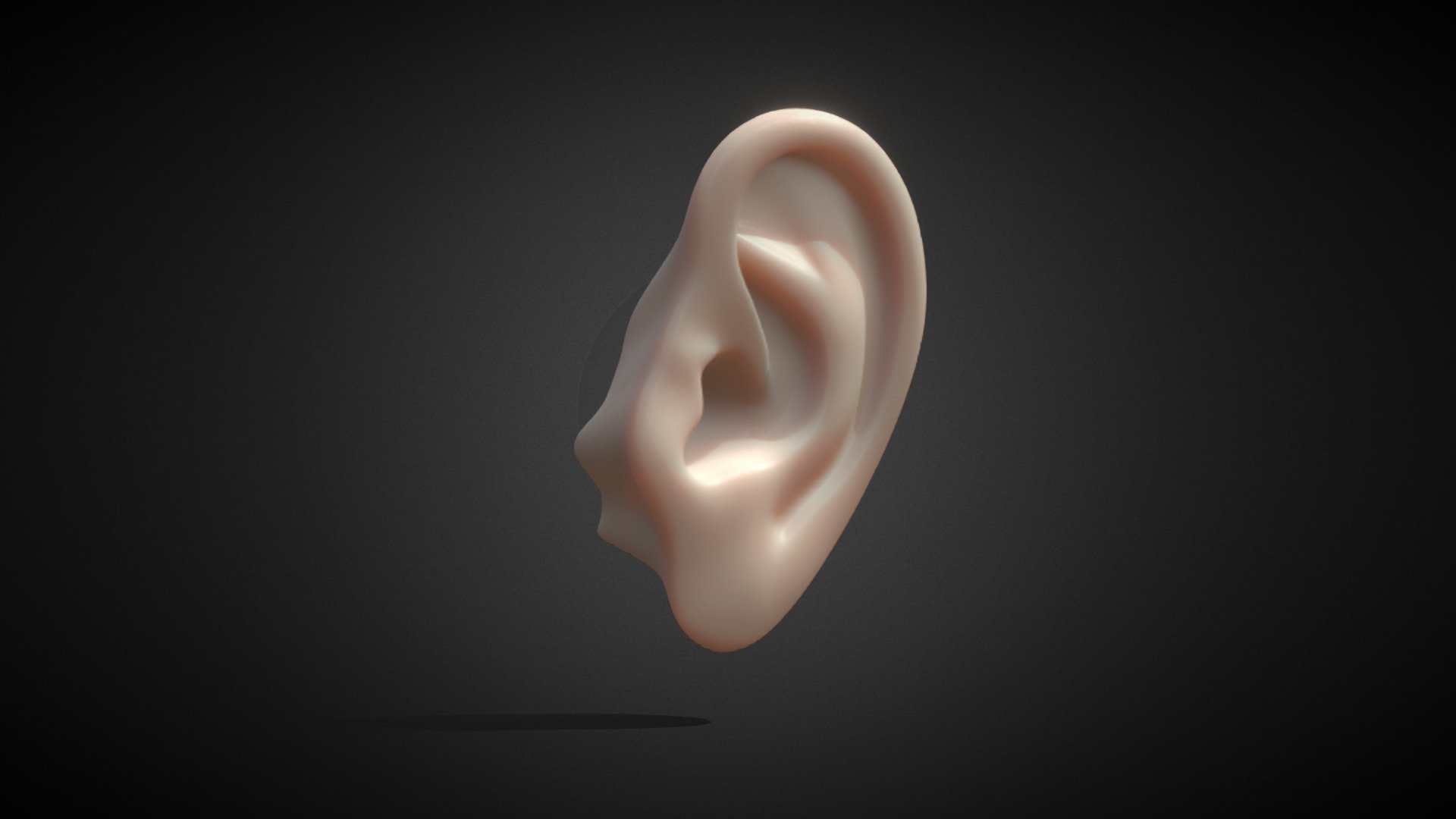 耳朵、Ears