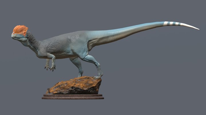 Dilophosaurus wetherilli 3D Model