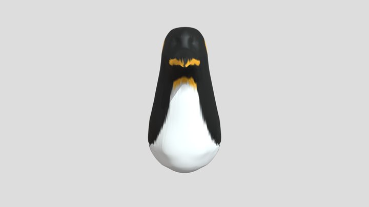 My model 3D Model