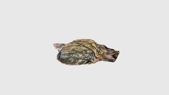 Test 5 3D Model
