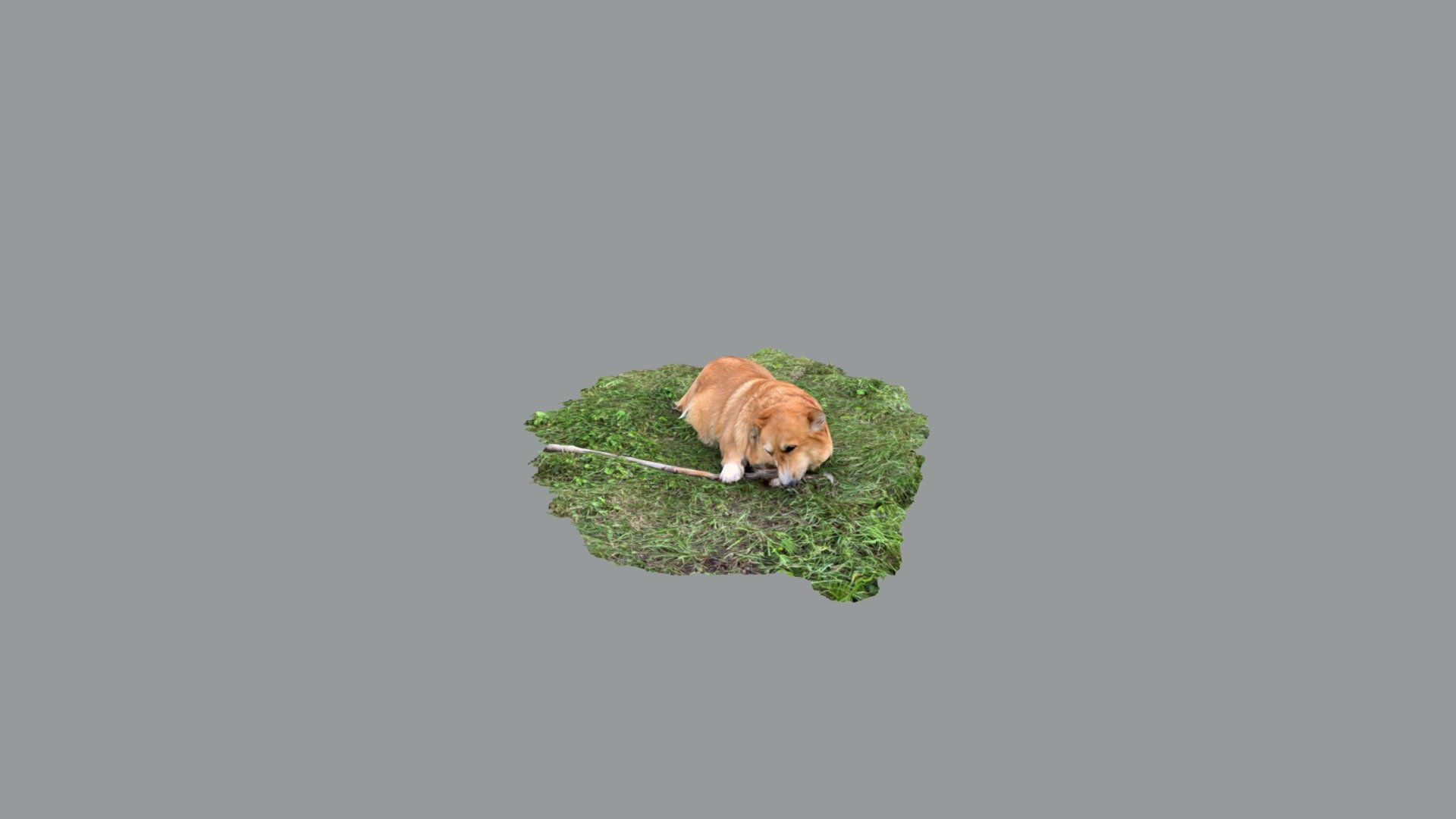Dogg